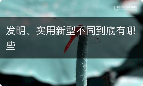 发明、实用新型不同到底有哪些