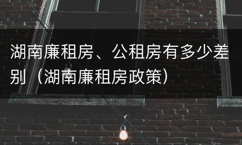 湖南廉租房、公租房有多少差别（湖南廉租房政策）