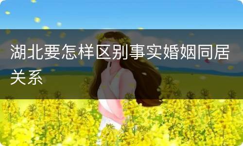 湖北要怎样区别事实婚姻同居关系