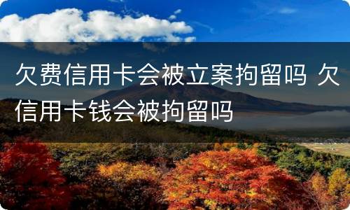 欠费信用卡会被立案拘留吗 欠信用卡钱会被拘留吗
