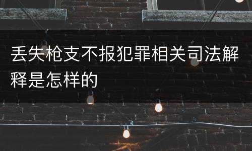 丢失枪支不报犯罪相关司法解释是怎样的