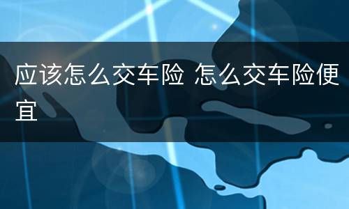 应该怎么交车险 怎么交车险便宜