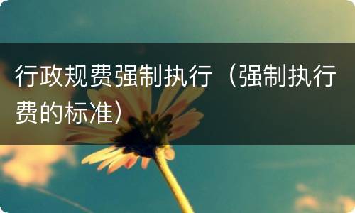 行政规费强制执行（强制执行费的标准）