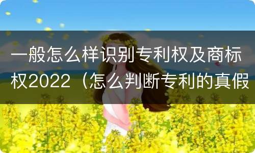 一般怎么样识别专利权及商标权2022（怎么判断专利的真假）