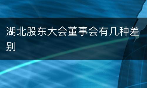 湖北股东大会董事会有几种差别