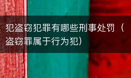 犯盗窃犯罪有哪些刑事处罚（盗窃罪属于行为犯）