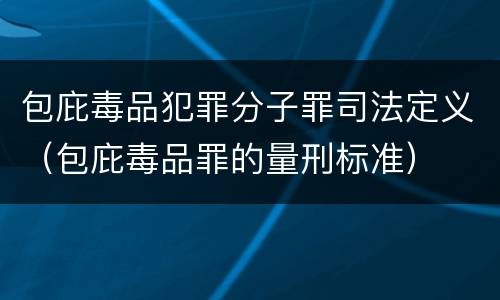 包庇毒品犯罪分子罪司法定义（包庇毒品罪的量刑标准）