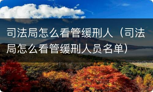 司法局怎么看管缓刑人（司法局怎么看管缓刑人员名单）