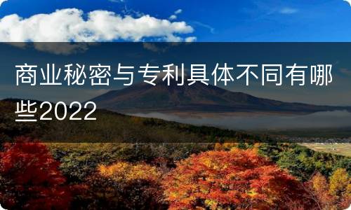 商业秘密与专利具体不同有哪些2022