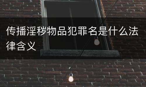 传播淫秽物品犯罪名是什么法律含义