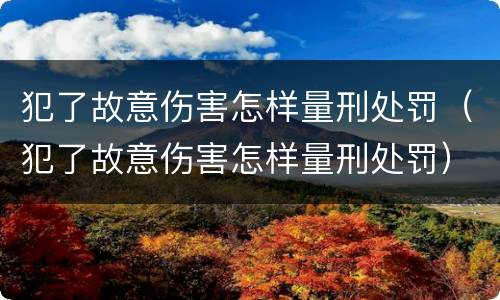 犯了故意伤害怎样量刑处罚（犯了故意伤害怎样量刑处罚）