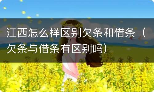 江西怎么样区别欠条和借条（欠条与借条有区别吗）
