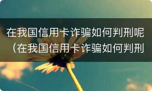 在我国信用卡诈骗如何判刑呢（在我国信用卡诈骗如何判刑呢知乎）