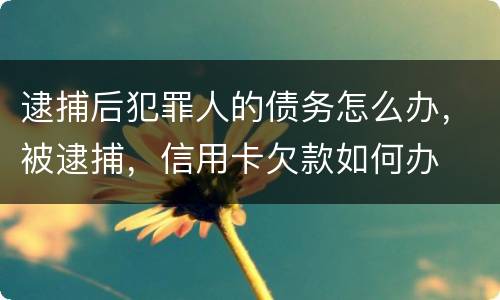 逮捕后犯罪人的债务怎么办，被逮捕，信用卡欠款如何办