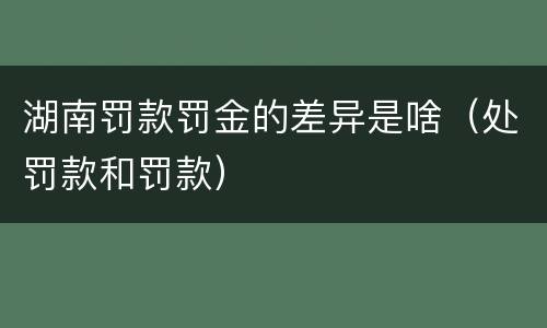湖南罚款罚金的差异是啥（处罚款和罚款）