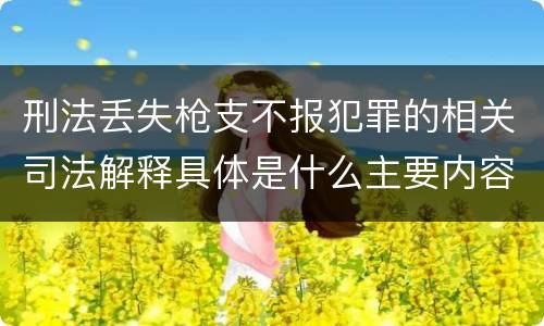 刑法丢失枪支不报犯罪的相关司法解释具体是什么主要内容