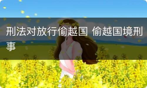刑法对放行偷越国 偷越国境刑事