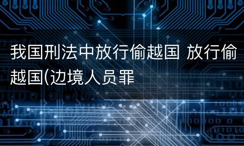 我国刑法中放行偷越国 放行偷越国(边境人员罪