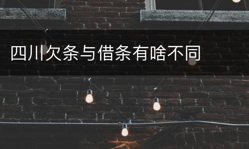 四川欠条与借条有啥不同