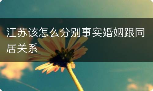 江苏该怎么分别事实婚姻跟同居关系