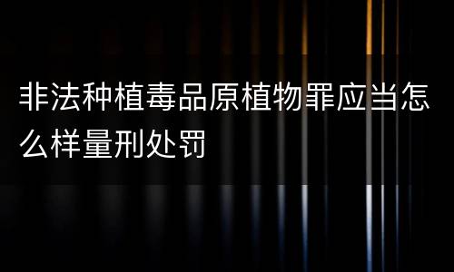 非法种植毒品原植物罪应当怎么样量刑处罚