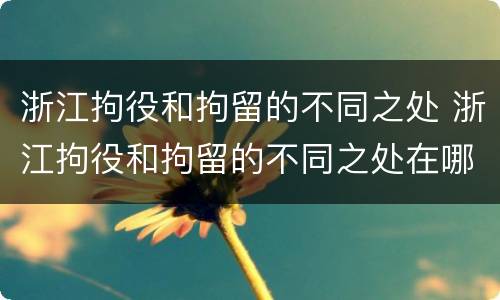 浙江拘役和拘留的不同之处 浙江拘役和拘留的不同之处在哪