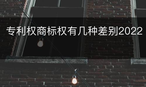 专利权商标权有几种差别2022
