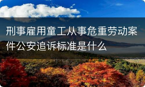 刑事雇用童工从事危重劳动案件公安追诉标准是什么