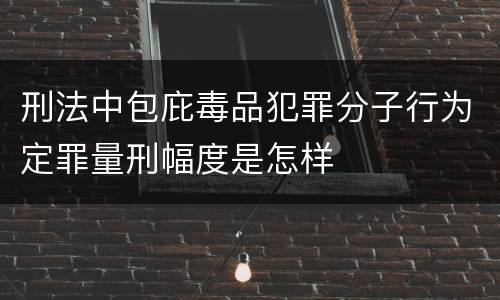 刑法中包庇毒品犯罪分子行为定罪量刑幅度是怎样