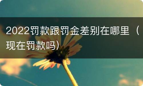 2022罚款跟罚金差别在哪里（现在罚款吗）