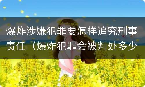 爆炸涉嫌犯罪要怎样追究刑事责任（爆炸犯罪会被判处多少年）