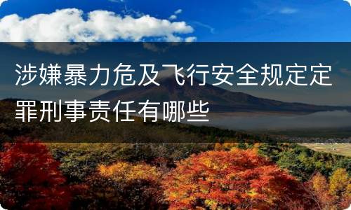 涉嫌暴力危及飞行安全规定定罪刑事责任有哪些