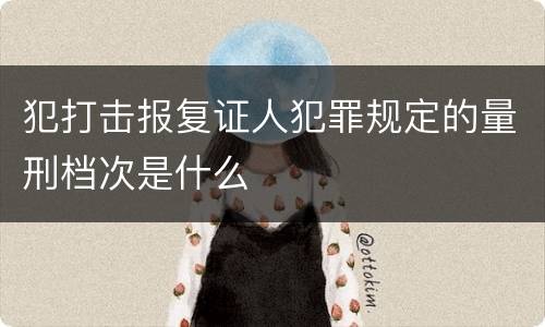 犯打击报复证人犯罪规定的量刑档次是什么