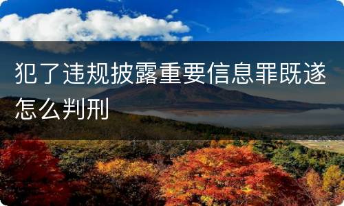 犯了违规披露重要信息罪既遂怎么判刑