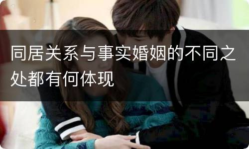 同居关系与事实婚姻的不同之处都有何体现