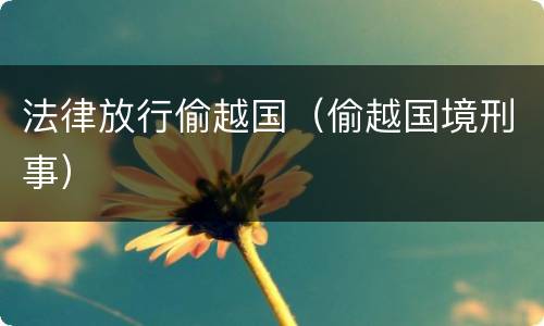 法律放行偷越国（偷越国境刑事）