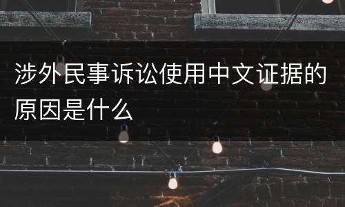 涉外民事诉讼使用中文证据的原因是什么