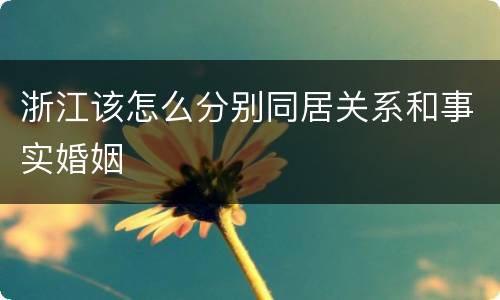 浙江该怎么分别同居关系和事实婚姻