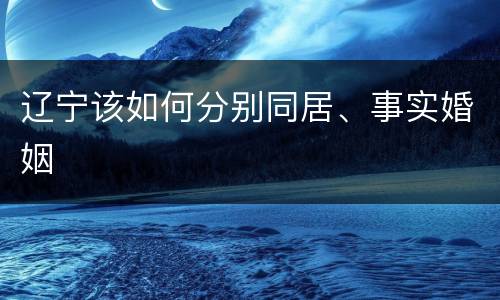 辽宁该如何分别同居、事实婚姻