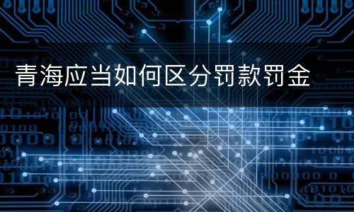 青海应当如何区分罚款罚金