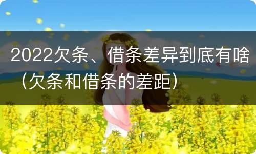 2022欠条、借条差异到底有啥（欠条和借条的差距）