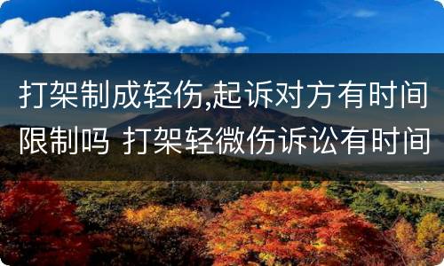 打架制成轻伤,起诉对方有时间限制吗 打架轻微伤诉讼有时间限制吗?