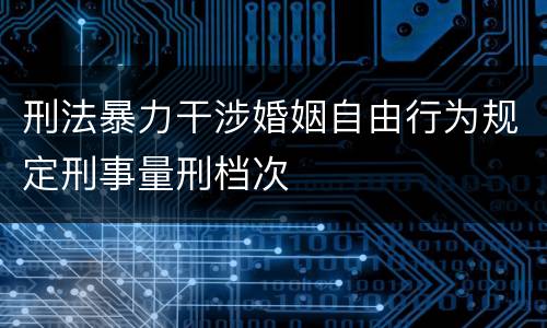 刑法暴力干涉婚姻自由行为规定刑事量刑档次