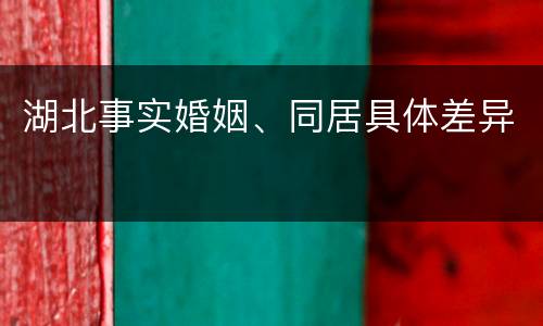 湖北事实婚姻、同居具体差异