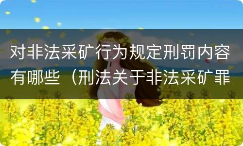 对非法采矿行为规定刑罚内容有哪些（刑法关于非法采矿罪的规定）