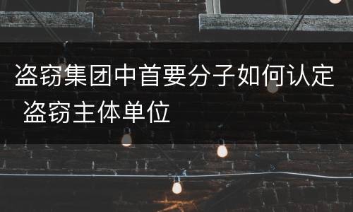 盗窃集团中首要分子如何认定 盗窃主体单位