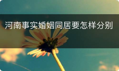 河南事实婚姻同居要怎样分别