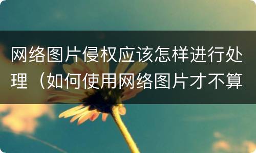 网络图片侵权应该怎样进行处理（如何使用网络图片才不算侵权）