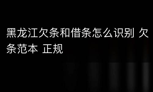 黑龙江欠条和借条怎么识别 欠条范本 正规