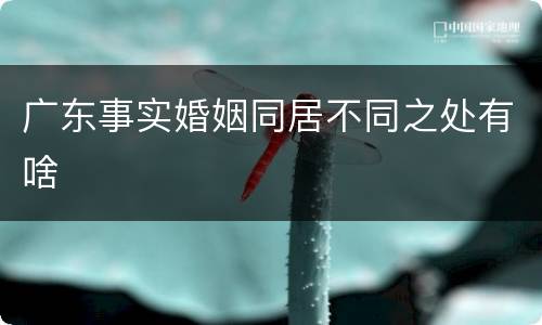 广东事实婚姻同居不同之处有啥